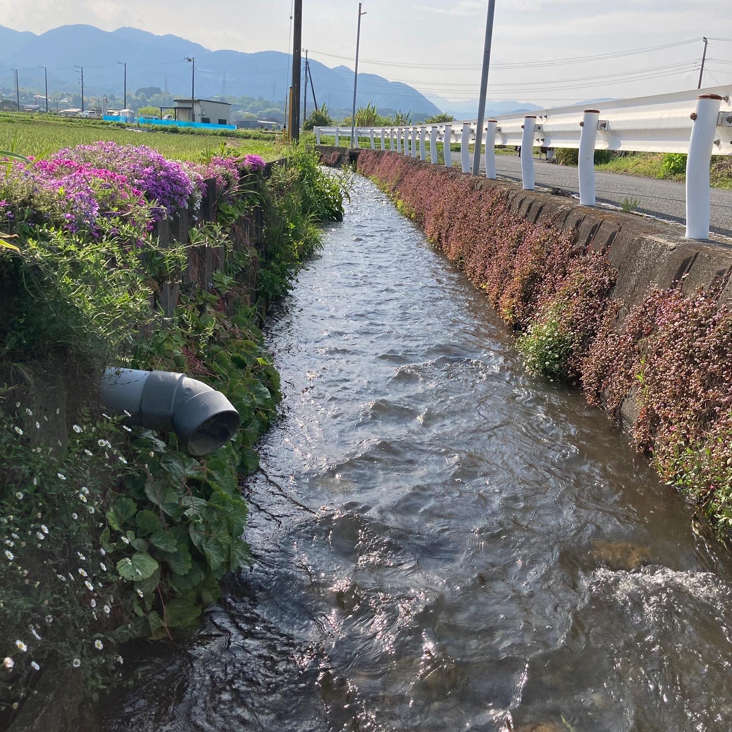 下府中公園広場