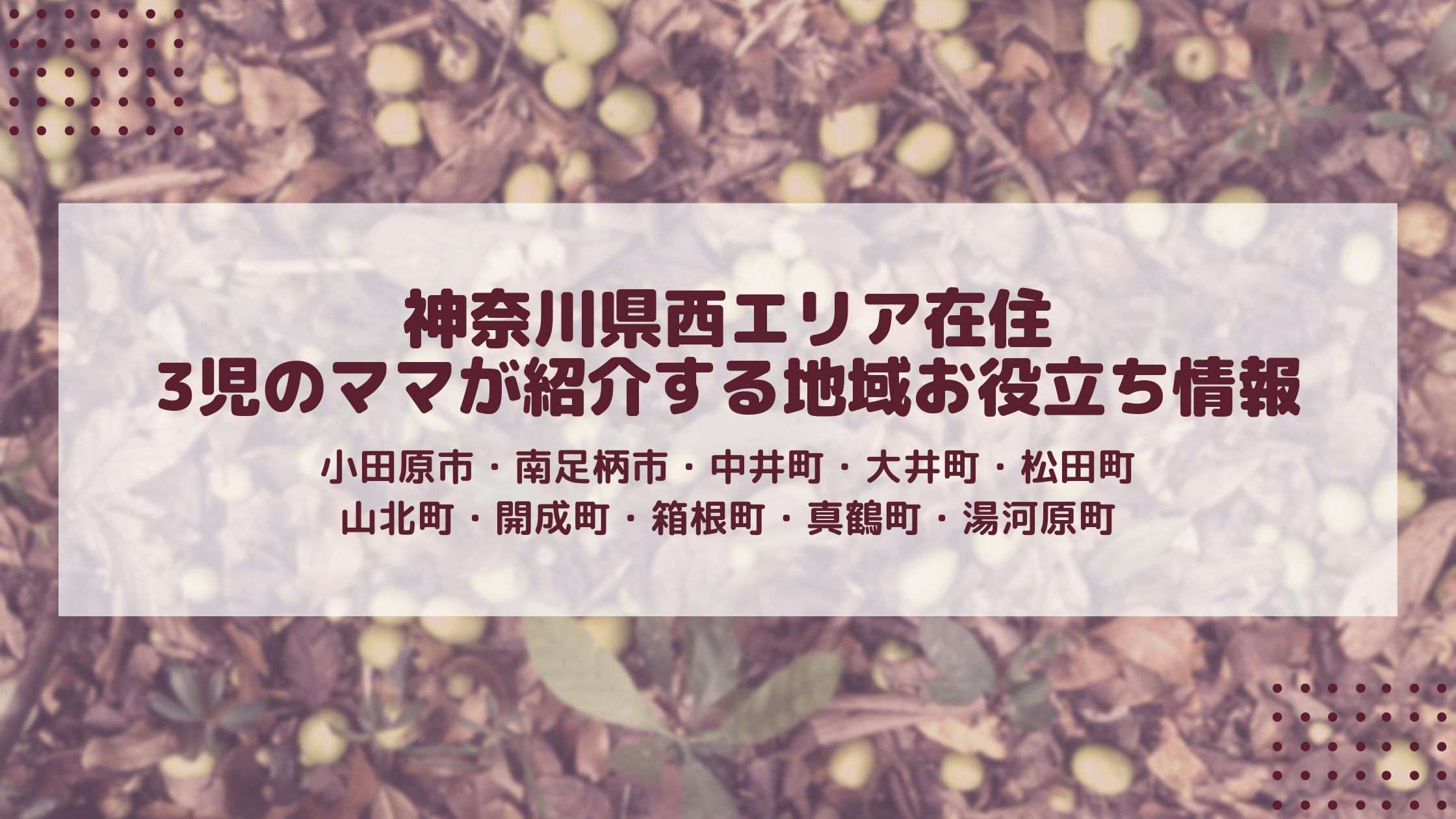 神奈川県西エリア在住　3児のママが紹介する地域お役立ち情報